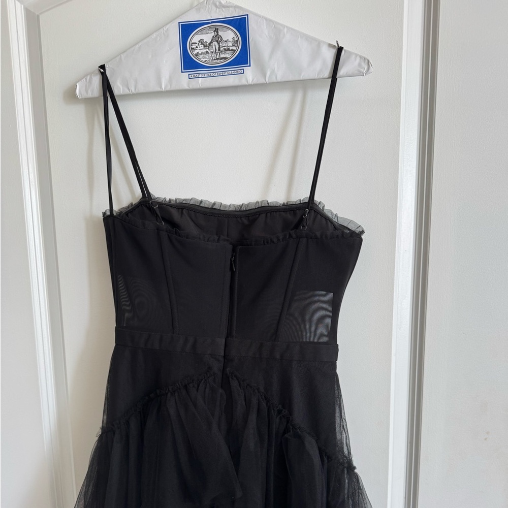 BCBG Tulle Corset Dress - Picture 4 of 5